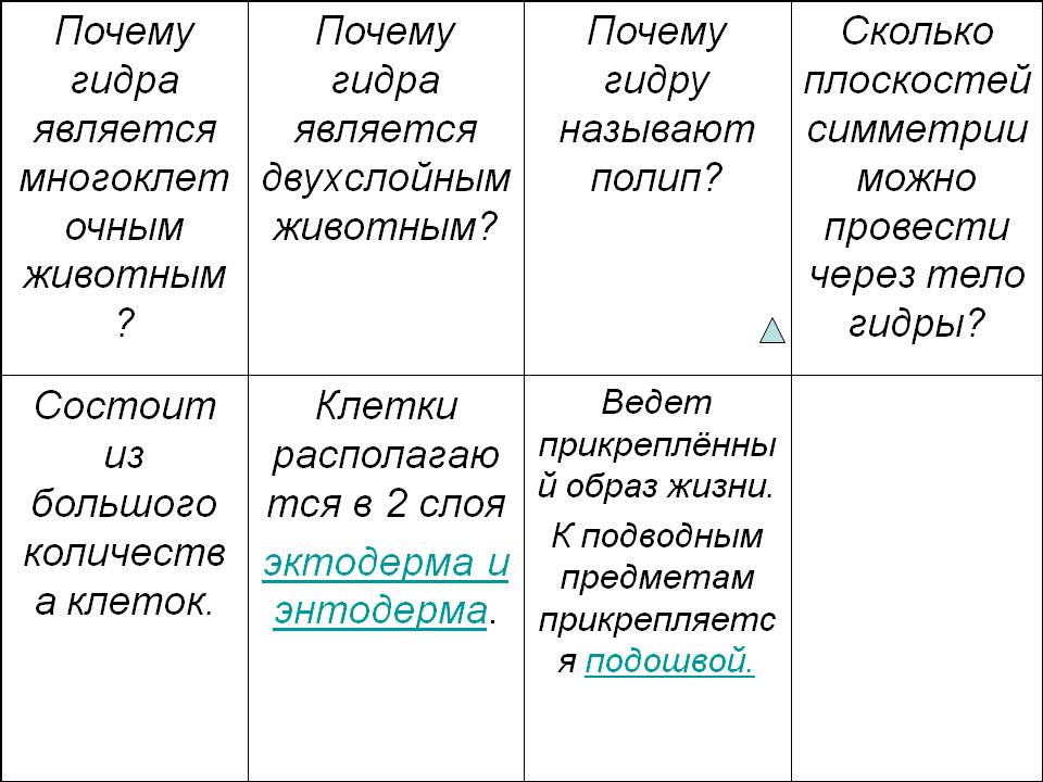 Какая ссылка на кракен