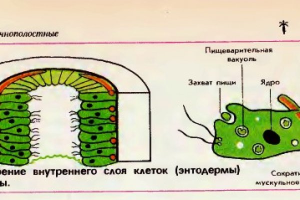 Ссылка на кракен даркнет